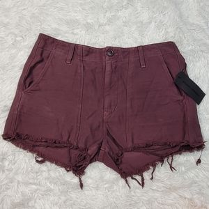 Citizens of Humanity surplus Meghan shorts 27